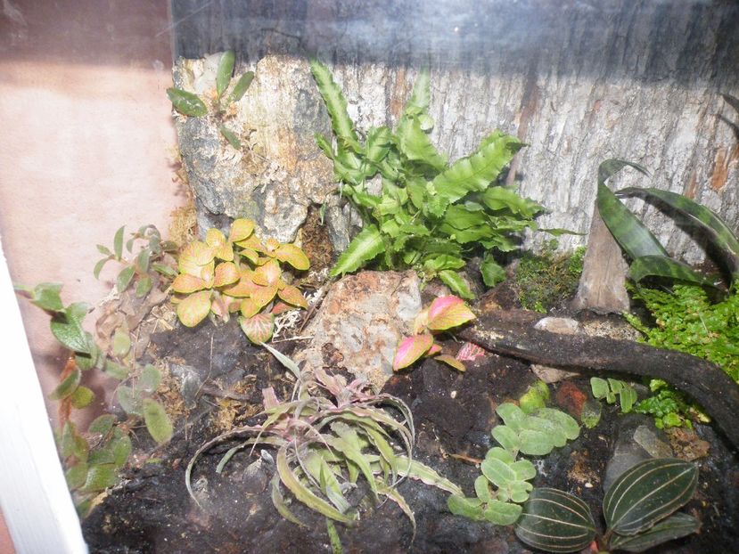  - Un nou proiect- miniterariu