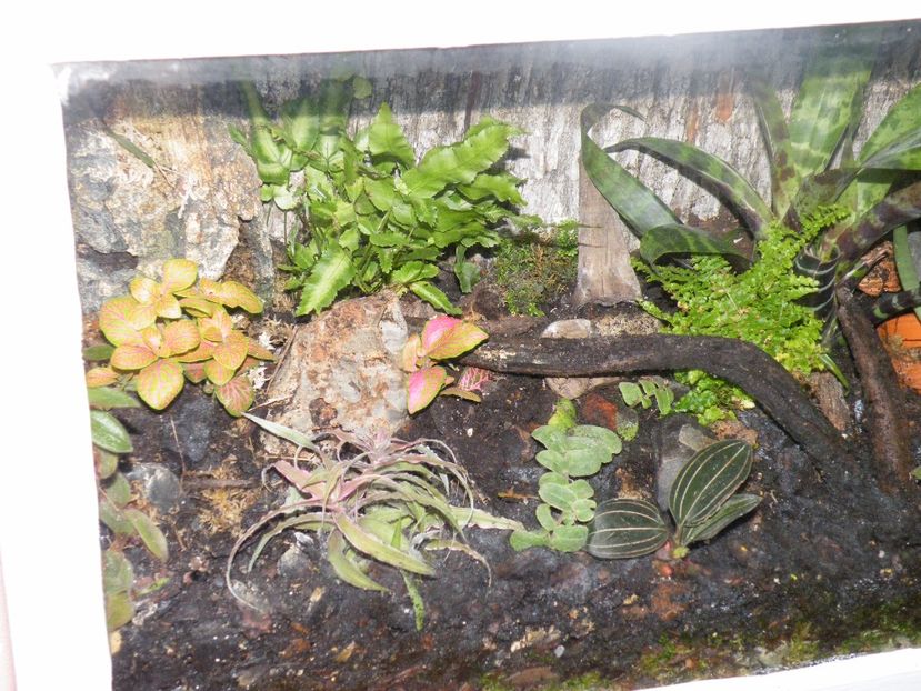  - Un nou proiect- miniterariu