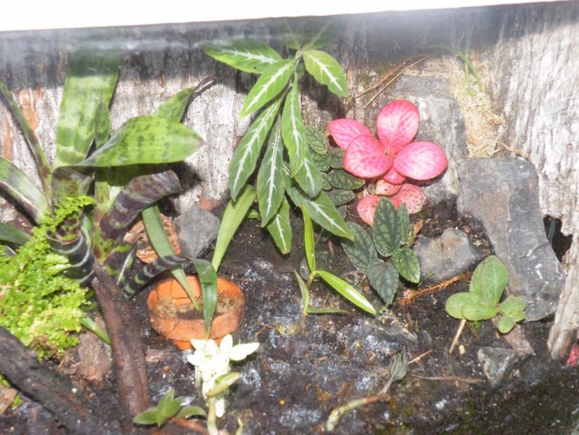  - Un nou proiect- miniterariu