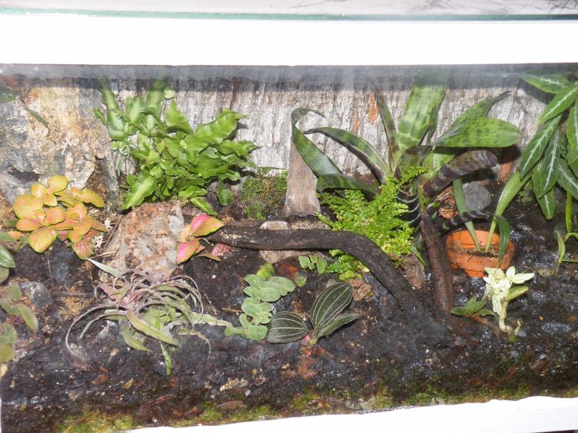  - Un nou proiect- miniterariu