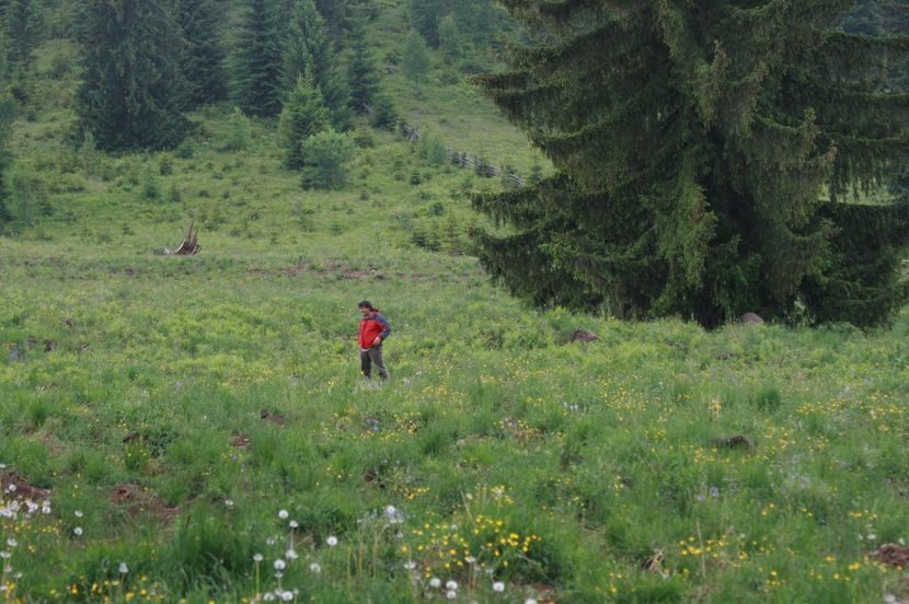 Teren arat - Amenajarea terenurilor