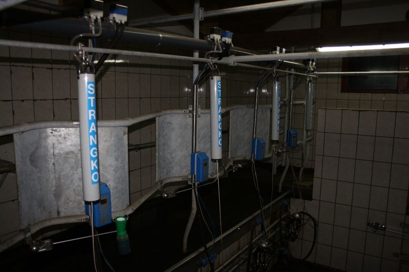 Sala de muls - Ferma