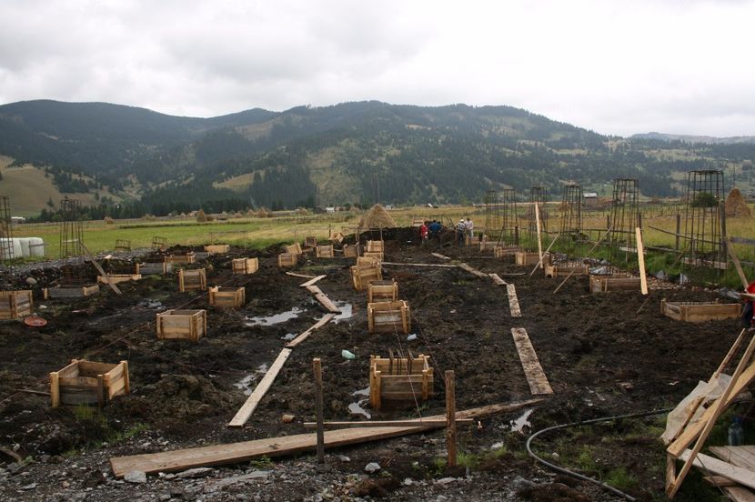 constructia fermei - Ferma