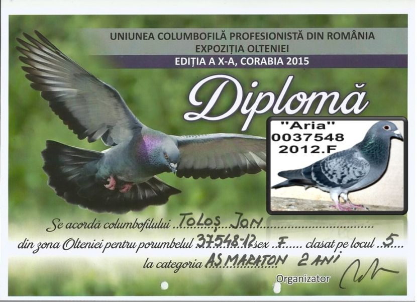 PAL AS MARATON =2ANI - E 2015 EXPO CORABIA