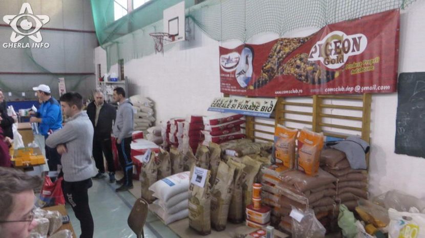 expozitieanimalegherla14 - S- Expozitie Gherla 2017