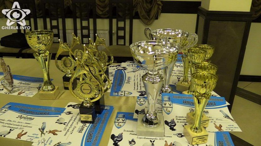 expozitieanimalegherla38 - S- Expozitie Gherla 2017