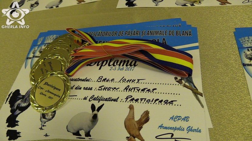 expozitieanimalegherla39 - S- Expozitie Gherla 2017