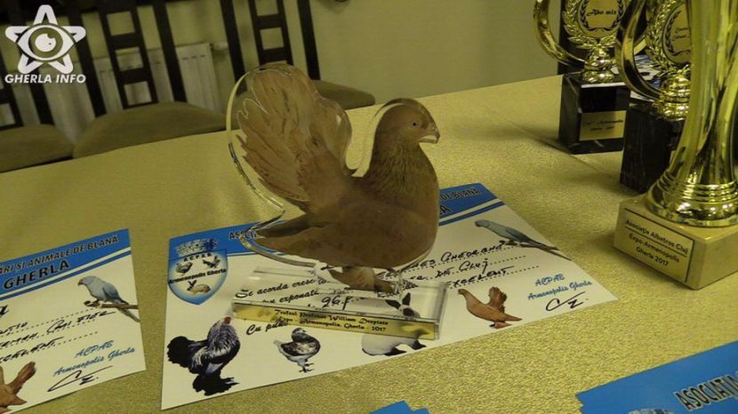 expozitieanimalegherla40 - S- Expozitie Gherla 2017