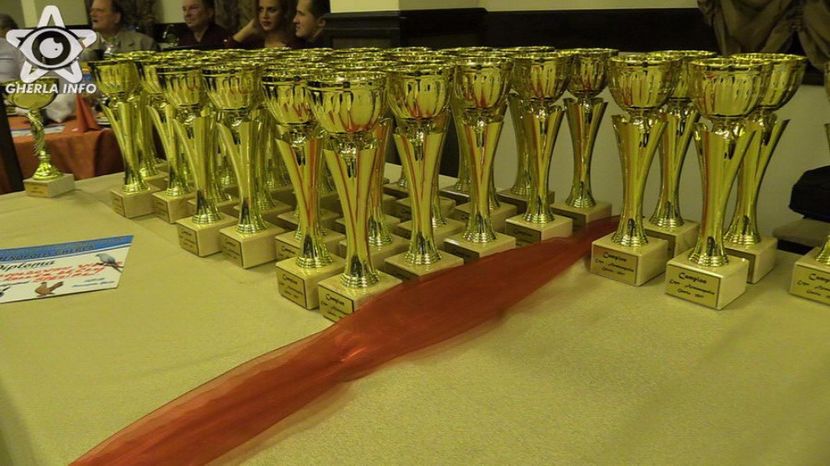 expozitieanimalegherla41 - S- Expozitie Gherla 2017