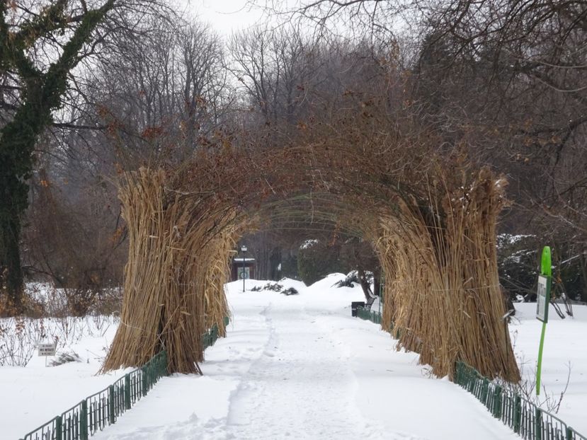  - Gradina Botanica feb 2017