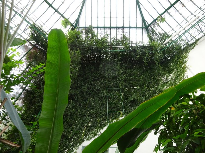  - Gradina Botanica feb 2017