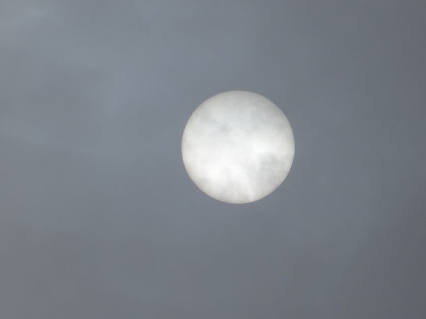  - Gradina Botanica feb 2017