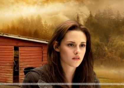 The_Twilight_Saga_New_Moon_1249135292_0_2009[1] - twilight