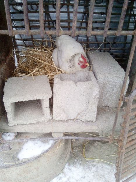  - Pentru domnul Robert