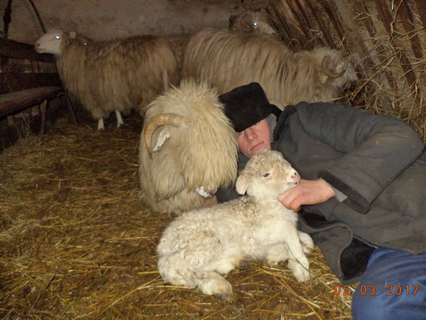  - Productia De Miei 2017