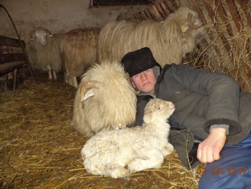  - Productia De Miei 2017