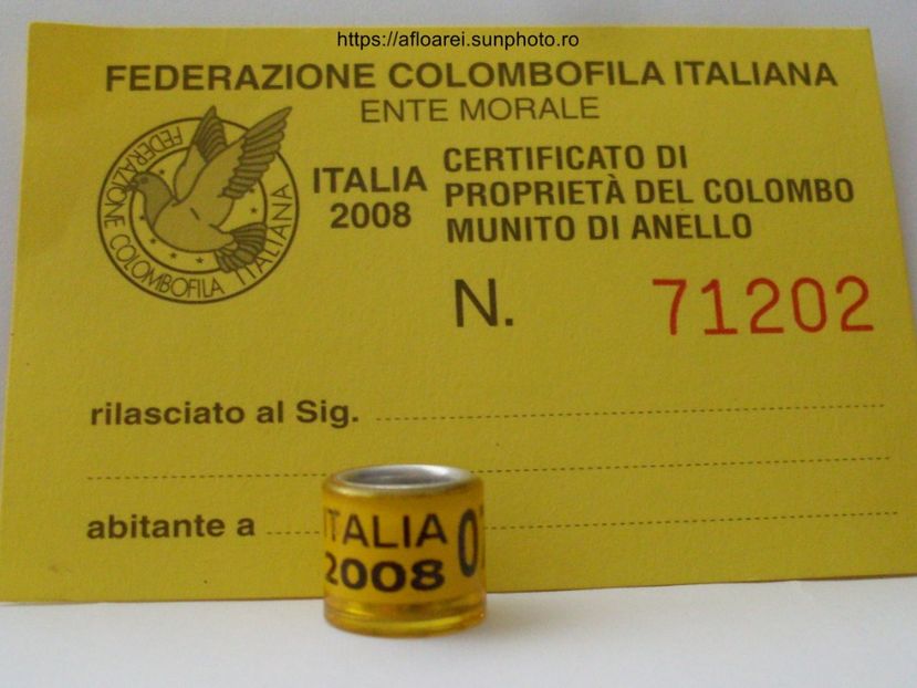 italia 2008 - ITALIA