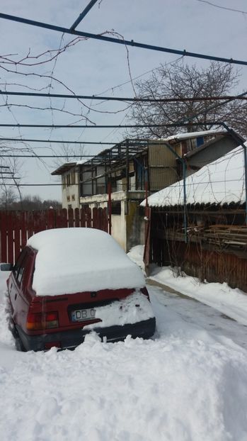 crescatorie 2 - Crescatorie