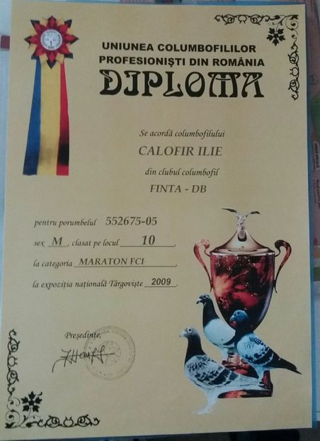 diploma 2009 - Perechea 2