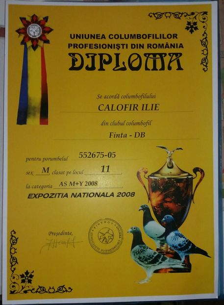 diploma2008 (1) - Perechea 2