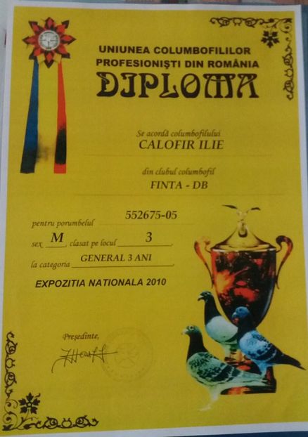 diploma2010 - Perechea 2