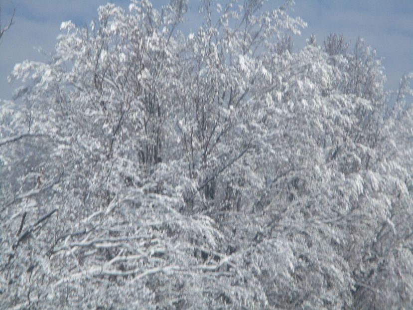  - Ranca februarie 2017