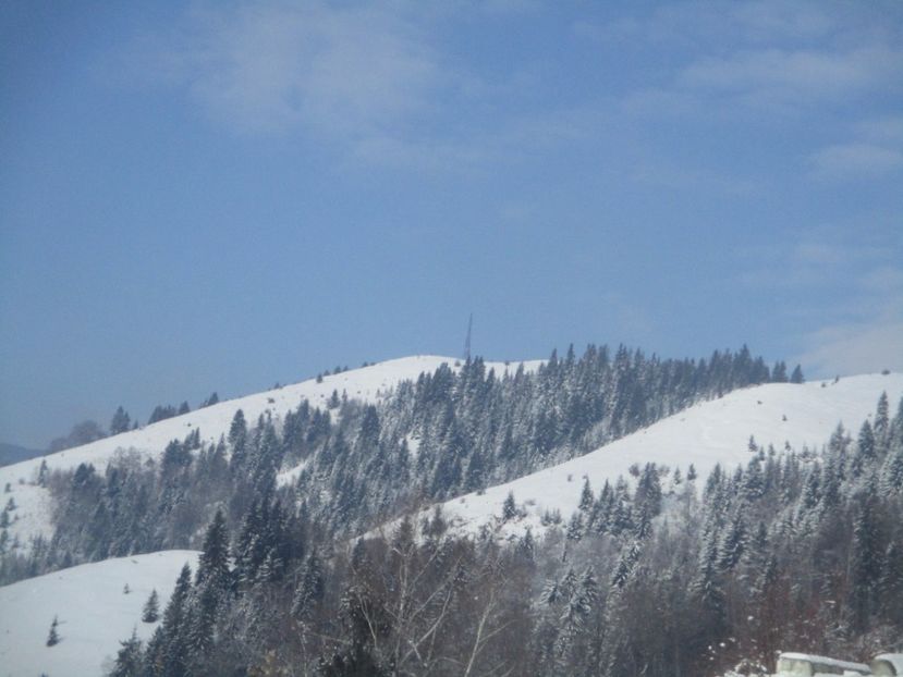  - Ranca februarie 2017