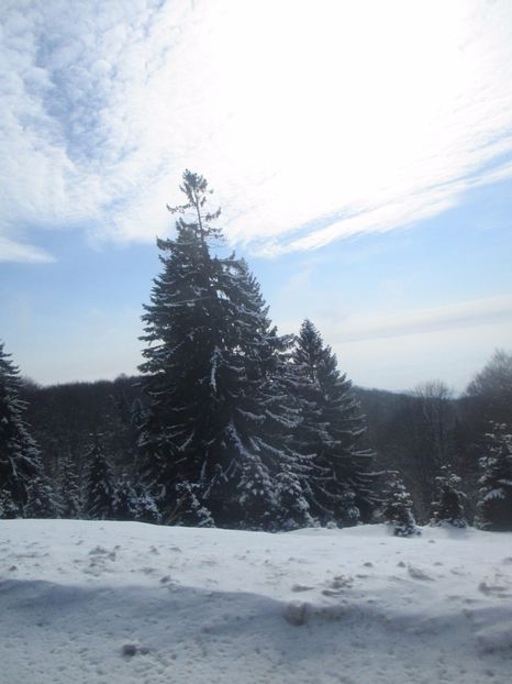  - Ranca februarie 2017