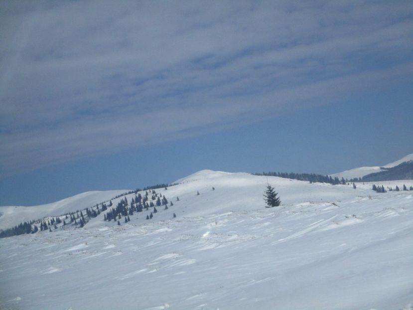  - Ranca februarie 2017