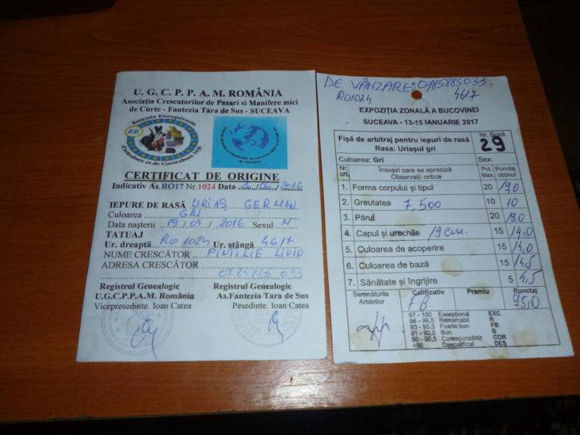 P1020265 - mascul UG 3