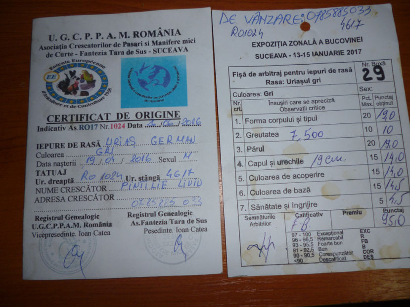 P1020267 - mascul UG 3