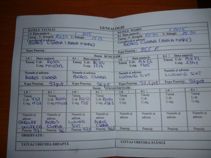 P1020268 - mascul UG 3