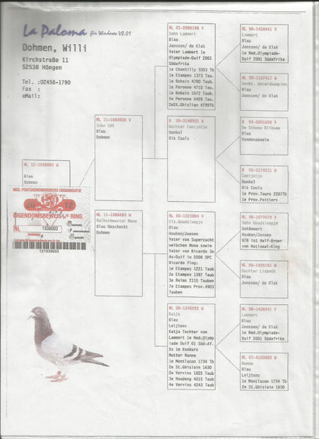 MAMA LU 156 - CUPLUL 5