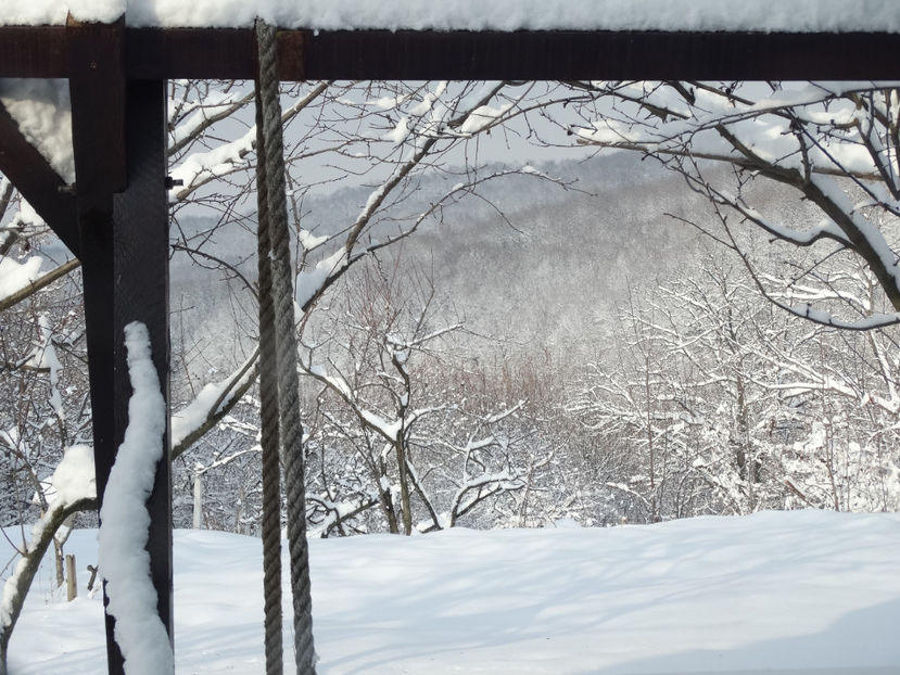 9.02 cu soare si ger - g -iarna 2016-2017