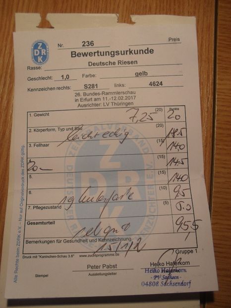 Mascul u.galben - Achizitie 2017 Germania Erfurt