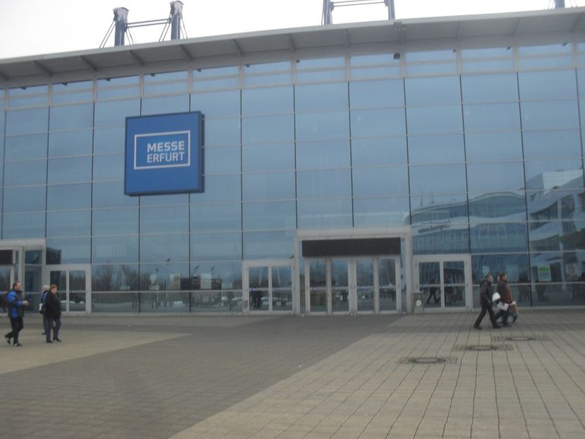  - Expozitia de masculi Germania Erfurt 2017