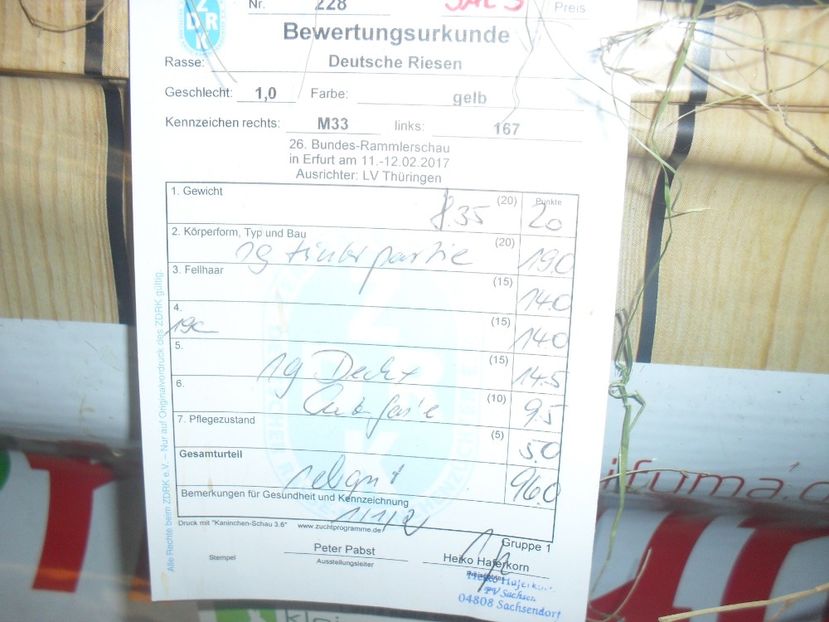  - Expozitia de masculi Germania Erfurt 2017