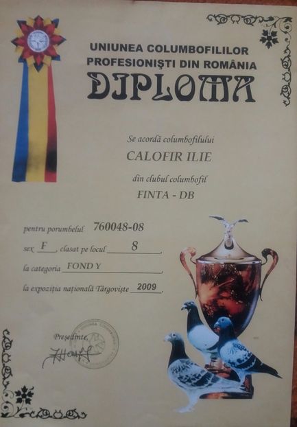 Diploma expozitie - Perechea 3