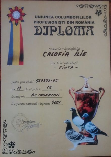 Diploma expozitie - Perechea 3