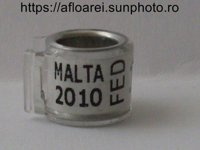 malta 2010 fed - MALTA