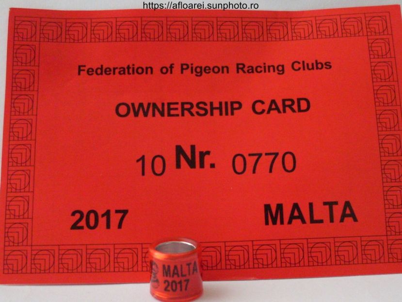 malta 2017 - MALTA