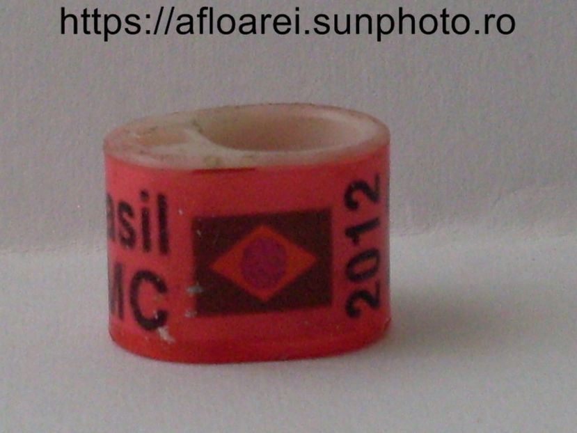 brasil fmc 2012 icom - BRAZILIA- BR