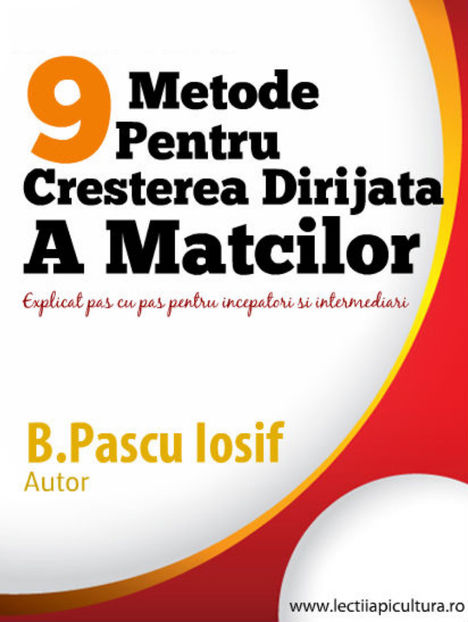 ebook_cover - Apicultura