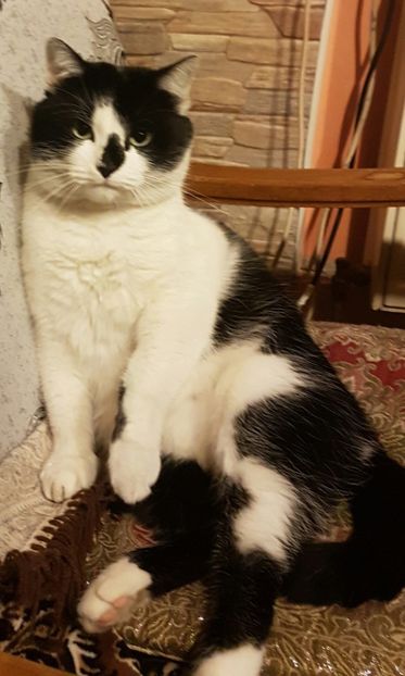 MITI...baiatul meu - CONTACT