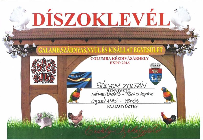 oklevél1 - 01-REZULTATELE CUPE DIPLOME