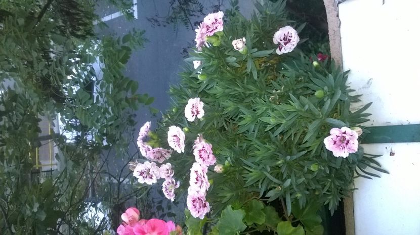  - jardiniere exterior