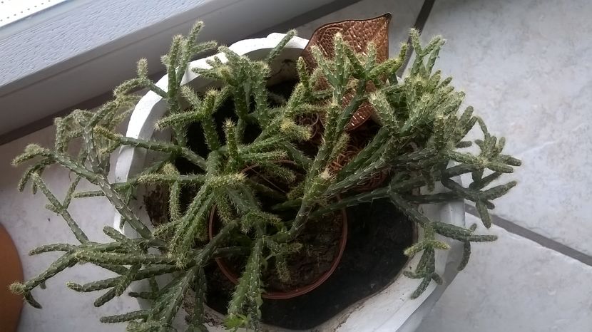  - Aaa achizitii 2017