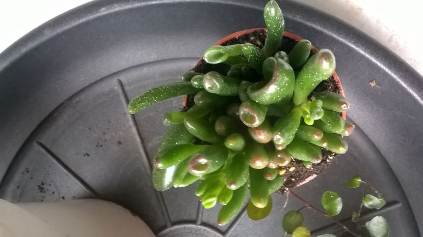  - Aaa achizitii 2017