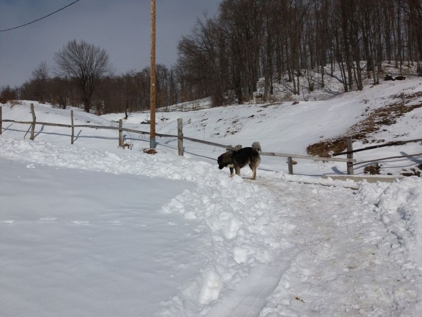  - Satul Hotaru Satul bunicilor