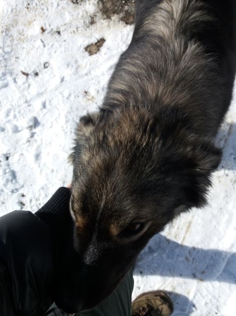  - Satul Hotaru Satul bunicilor